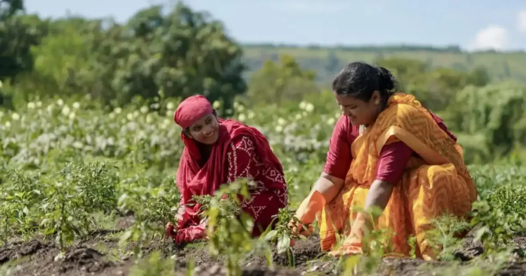 यूपी सरकार प्राकृतिक खेती पर खर्च करेगी ₹2500 करोड़, जोड़े जाएंगे 2.5 लाख से अधिक किसान