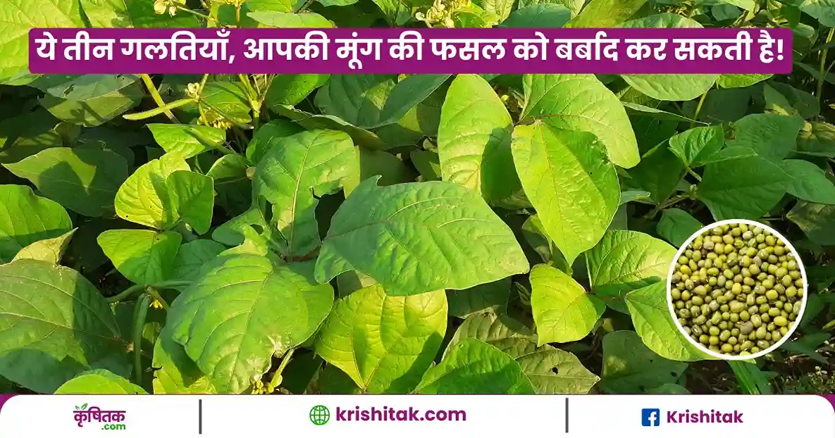 Mung Ki Kheti