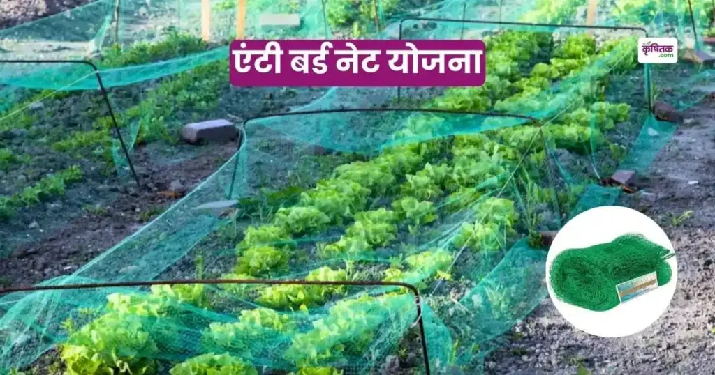 Anti Bird Net Yojana