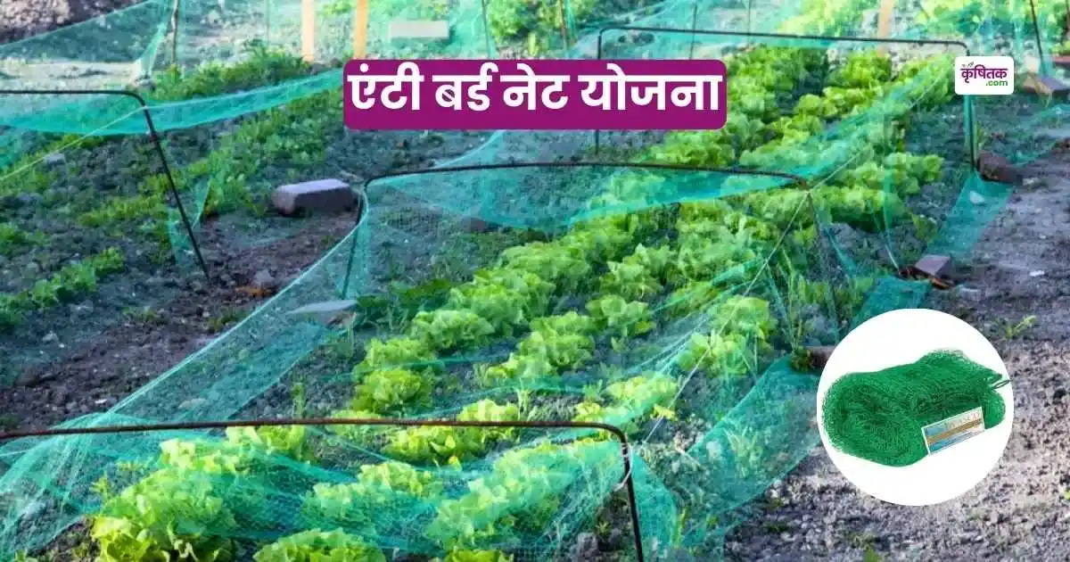 Anti Bird Net Yojana