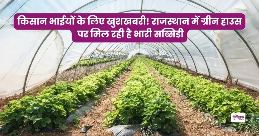 Huge subsidy is available on green house in Rajasthan