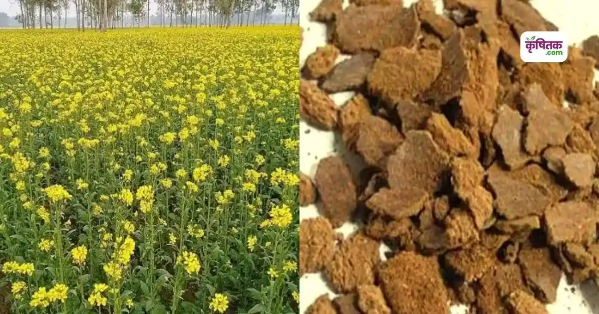 चीन ने भारत से 3 हफ्ते में खरीदे 52,000 टन ये कृषि उत्पाद, वजह जानकर चौंक जाएंगे