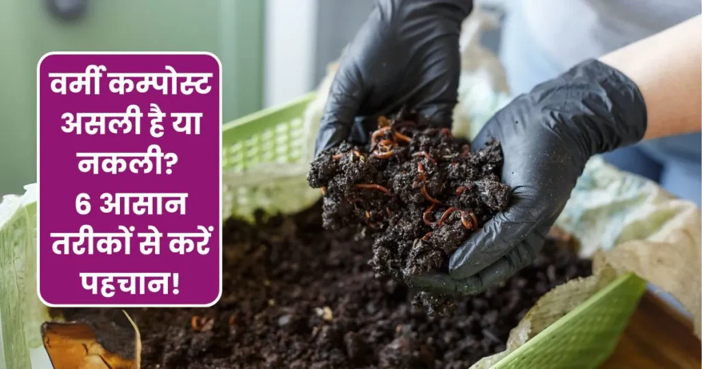 How to identify Real Vermicompost
