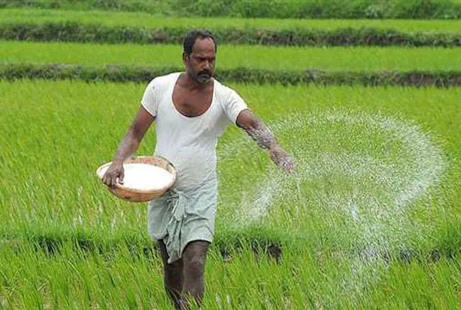 Fertilizer subsidy