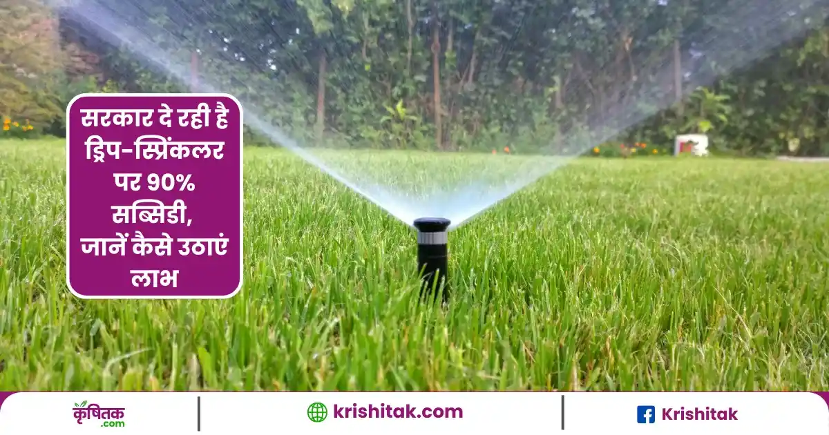 Subsidy on Drip Sprinkler