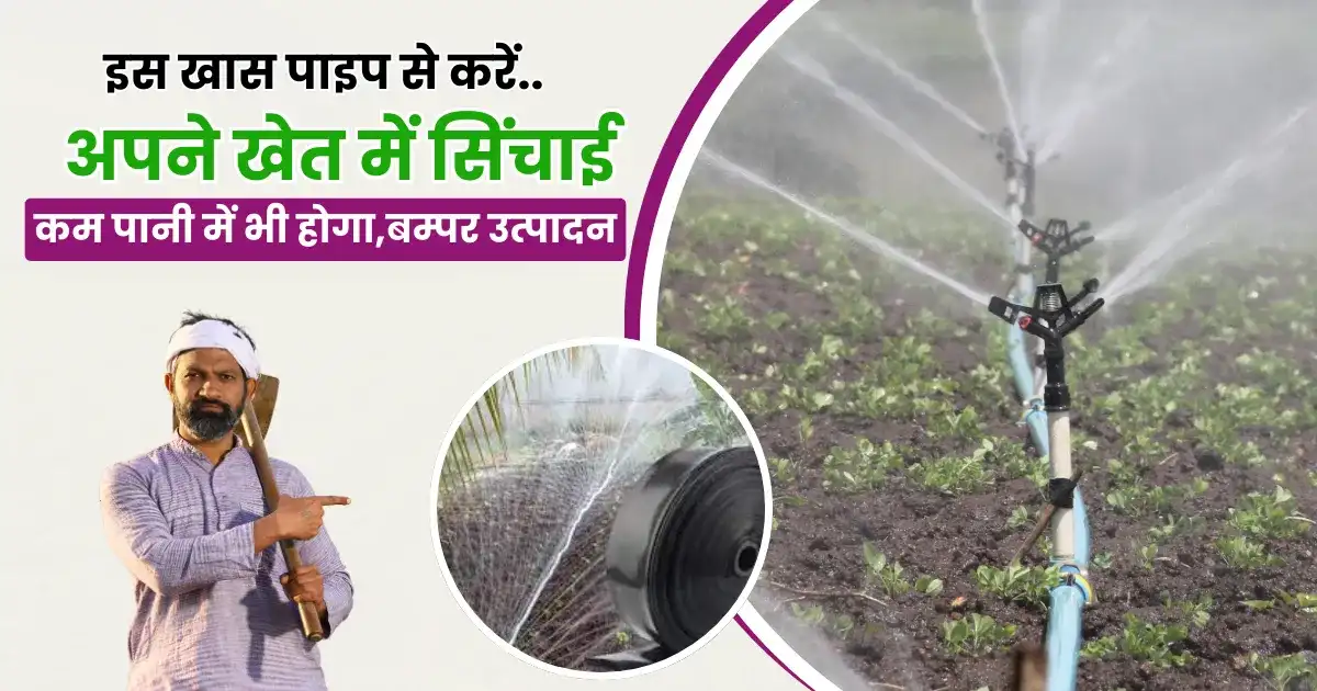 Drip Irrigation System