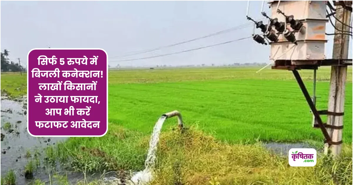 MP में सिर्फ 5 रुपये में बिजली कनेक्शन! लाखों किसानों ने उठाया फायदा, आप भी करें आवेदन