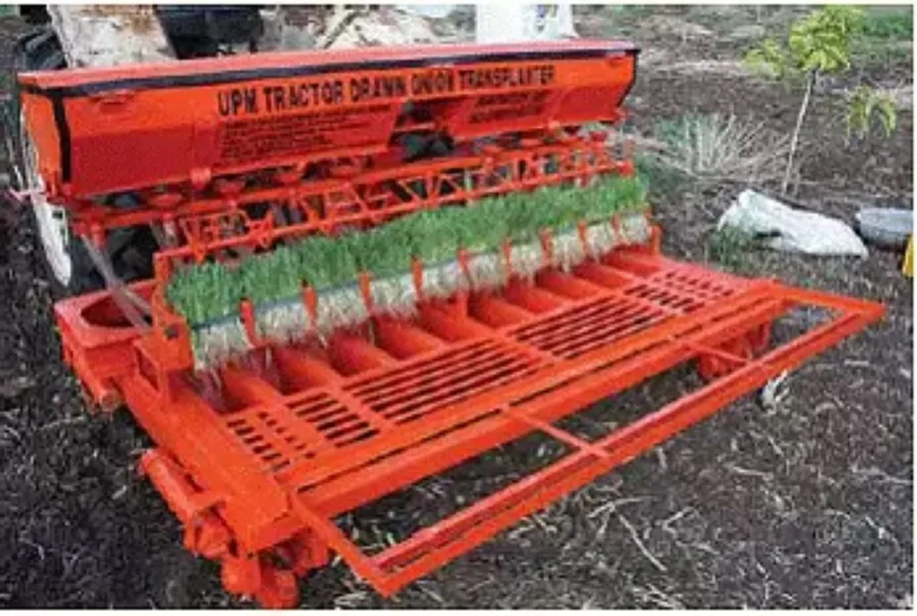 Onion Transplanter Machine