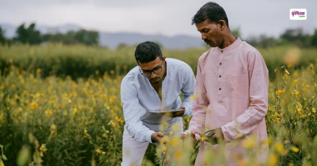 कृषि क्षेत्र में बड़ी छलांग! 2025 में 4.6% की विकास दर, 2026 में क्या है सरकार की रणनीति?