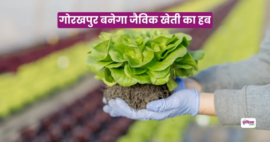 गोरखपुर बनेगा जैविक खेती का पावरहाउस, गांव-गांव बहेगी ‘प्राकृतिक क्रांति’ अब बदलेगा किसानों का भविष्य!