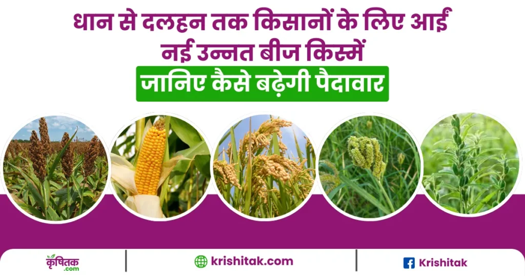 Kharif Season Crops