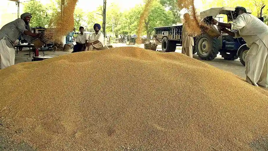 Rabi Crops Mandi Bhav