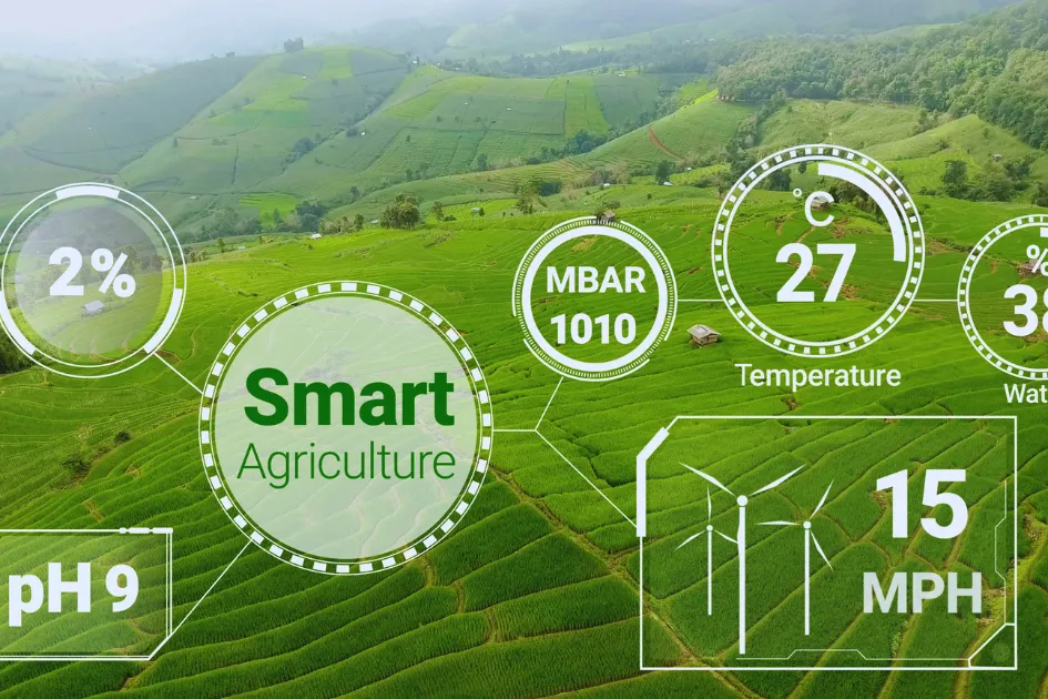 अब नो टेंशन, सिर्फ बंपर प्रोडक्शन! जानिए वो 6 जादुई कृषि तकनीकें जो बदल देंगी किसानों की किस्मत और बढ़ाएंगी फसल उत्पादन