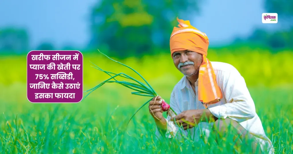 खरीफ सीजन में प्याज की खेती पर 75% सब्सिडी, जानिए कैसे उठाएं इसका फायदा