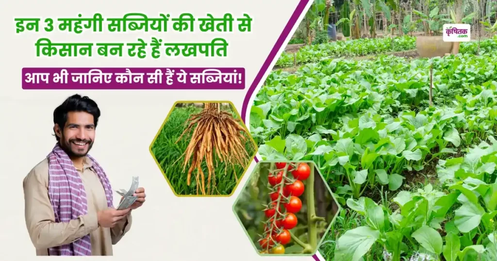 इन 3 महंगी सब्जियों की खेती से किसान बन रहे हैं लखपति, आप भी जान लें इनके नाम