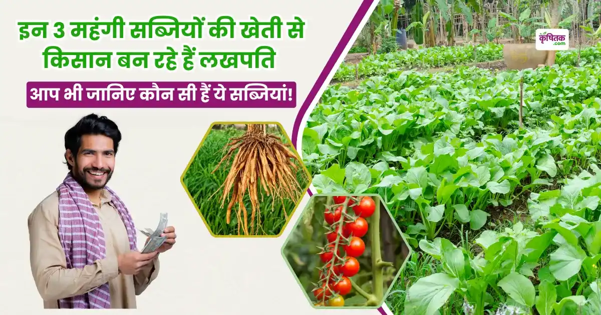 इन 3 महंगी सब्जियों की खेती से किसान बन रहे हैं लखपति, आप भी जान लें इनके नाम