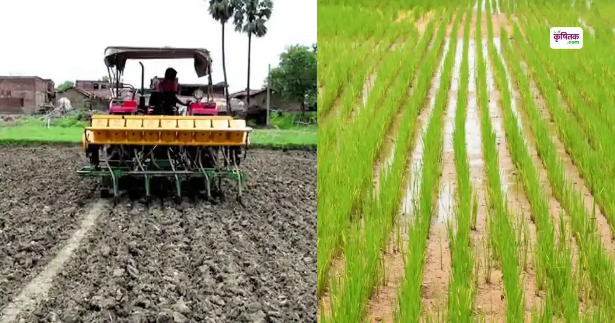 धान की करें सीधी बुवाई और प्रति हेक्टेयर बचाएं ₹7,000 तक यूपी सरकार दे रही है आधुनिक कृषि यंत्रों पर 50% सब्सिडी