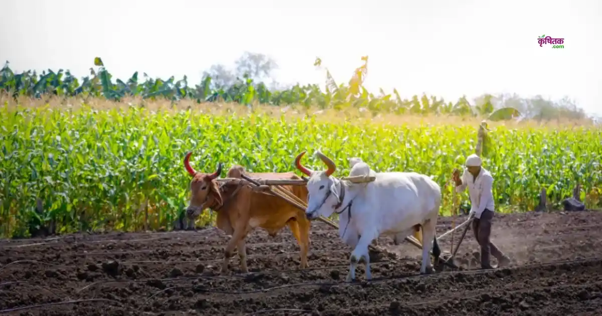 सरकार देगी प्राकृतिक खेती को बढ़ावा, सरकारी जमीन पर किसान उगा सकेंगे फसल!