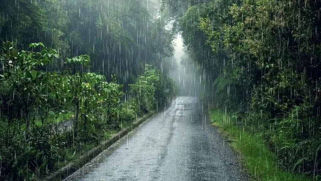 Monsoon 2025