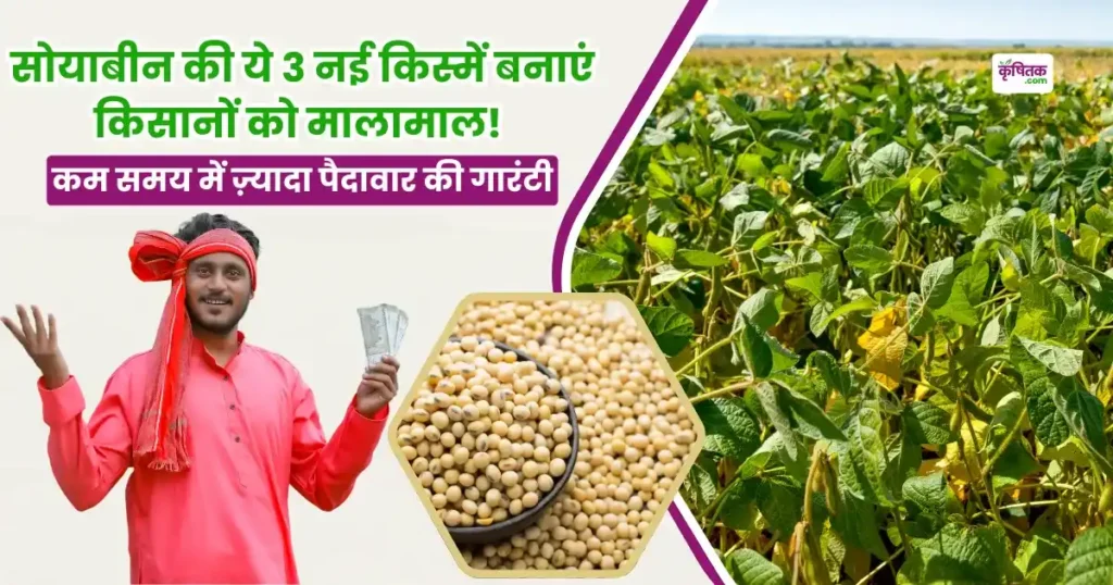 Soyabean Farming