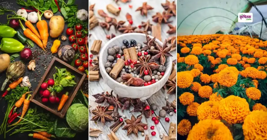 UP government is giving 90% subsidy on vegetable spice and flower cultivation
