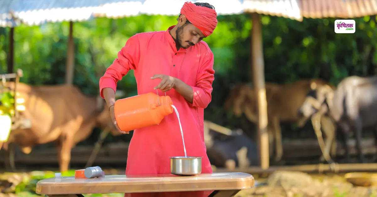 यूपी में पशुपालकों के अच्छे दिन, दुग्ध नीति में बदलाव से किसानों को मिलेगी ज्यादा सब्सिडी का लाभ