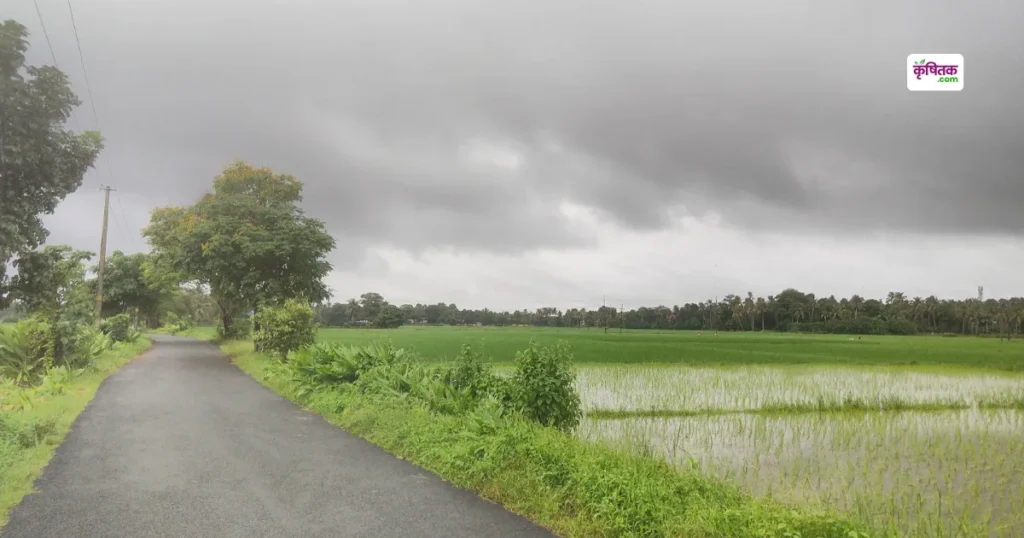 ये बारिश नहीं, वरदान बरसा है, वैज्ञानिकों ने बताया क्यों है हर बूंद किसानों के लिए अमृत