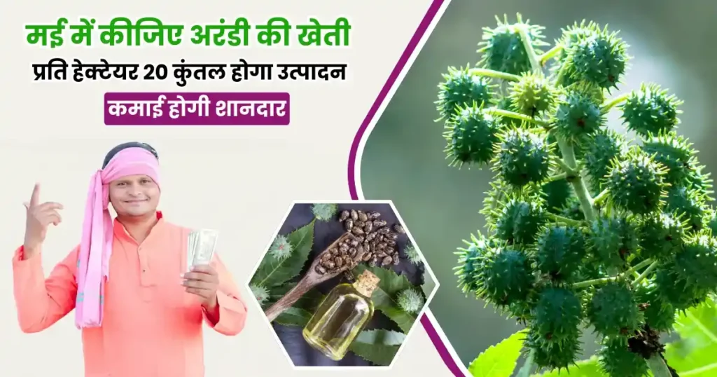 Arandi Ki Kheti