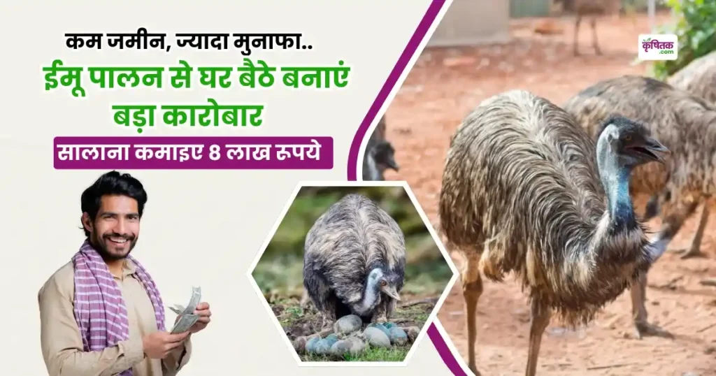 Emu Palan Kaise Karen