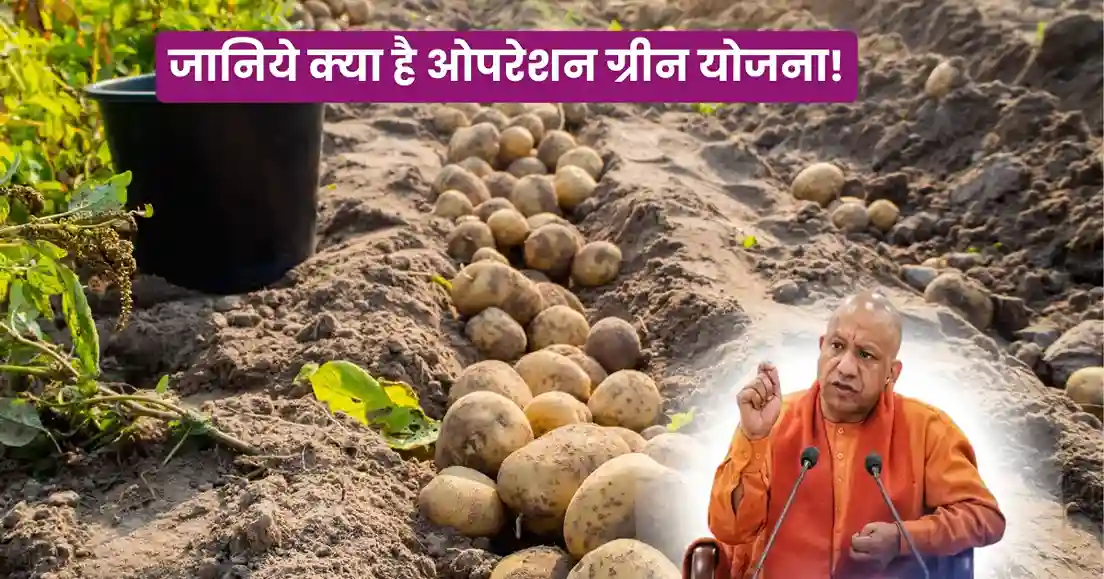 Operation Greens Scheme