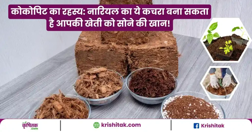 Cocopeat Ghar Par Kaise Banaye