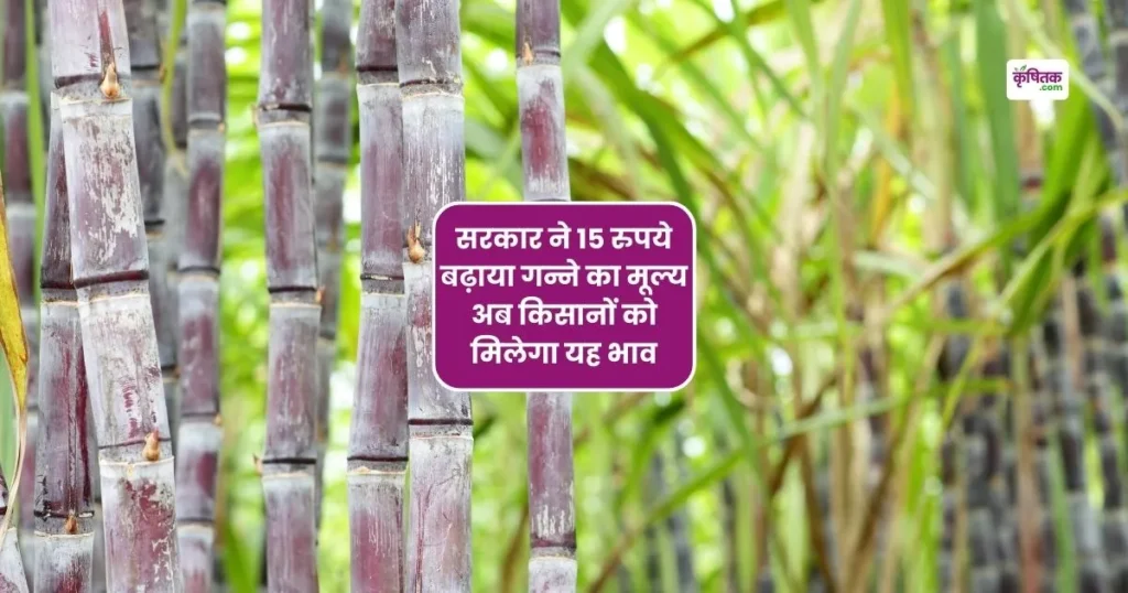 किसानों के लिए खुशखबरी! गन्ने के दाम में ₹15 की बढ़ोतरी, अब मिलेगा यह नया रेट