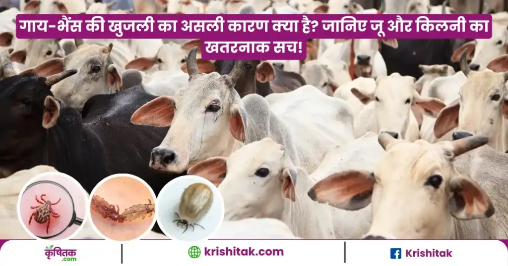 Kilani Bhagane Ke Gharelu Upay