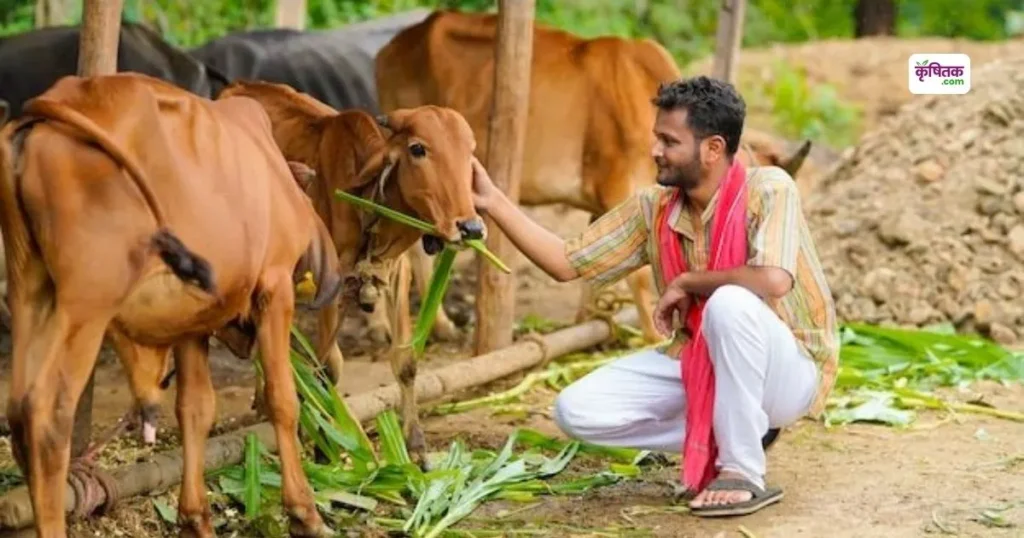 Samagra Gavya Vikas Yojana