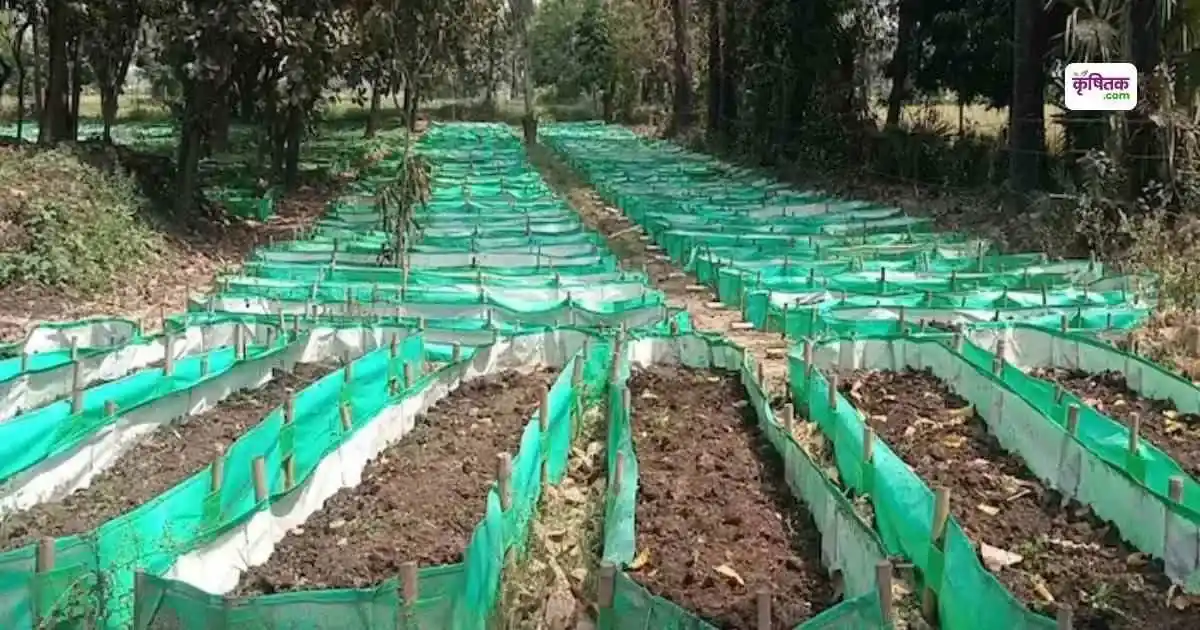 Organic Fertilizer Business