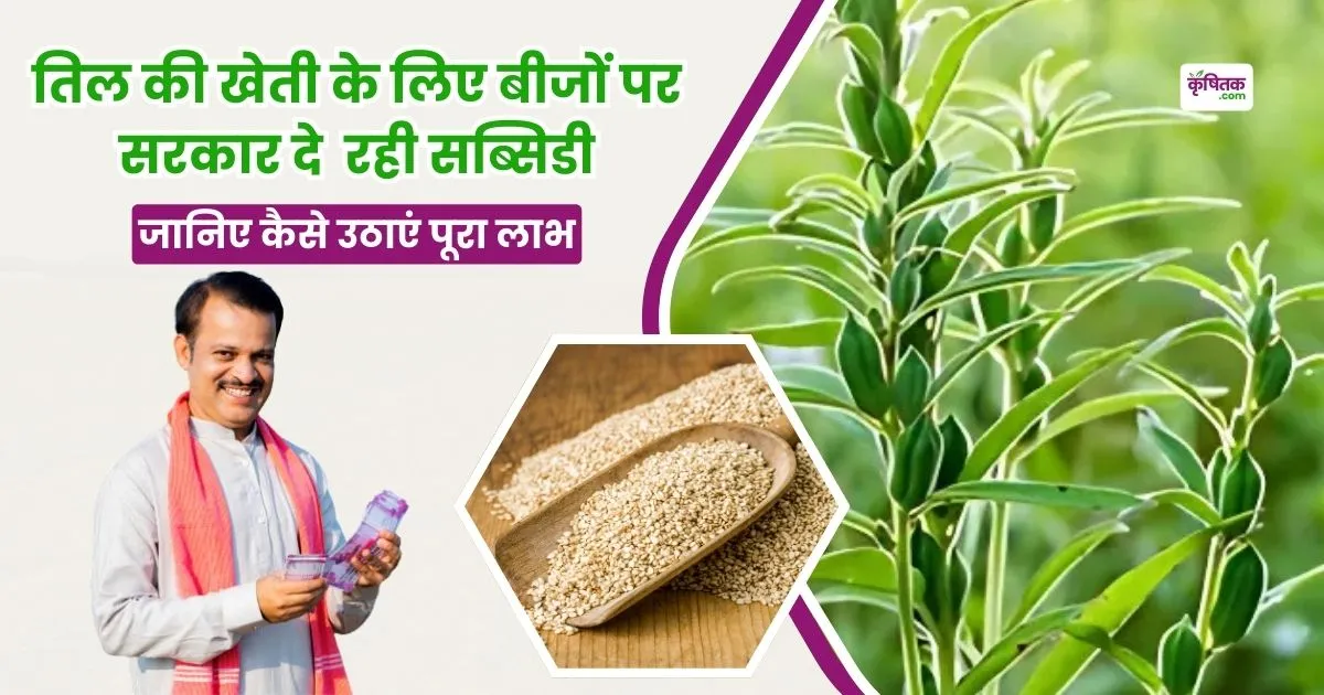 til ki kheti subsidy yojana