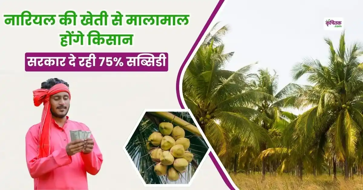 Bihar government is giving 75% subsidy on coconut cultivation
