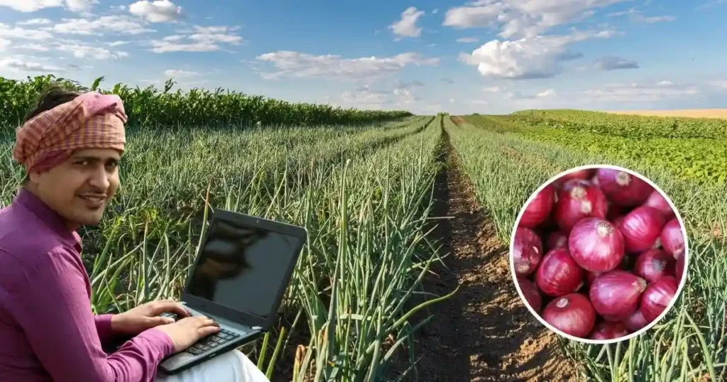 onion Farming