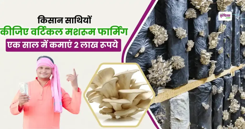 Vertical Mushroom Farming