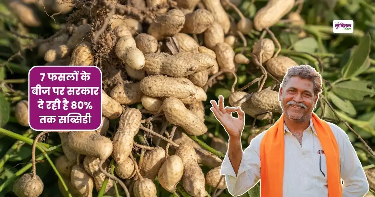 Bihar Garma Fasal Beej Subsidy