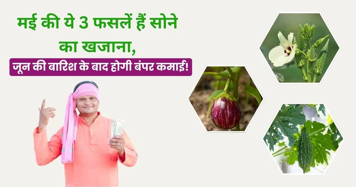 May mein Sabjiyon Ki Kheti