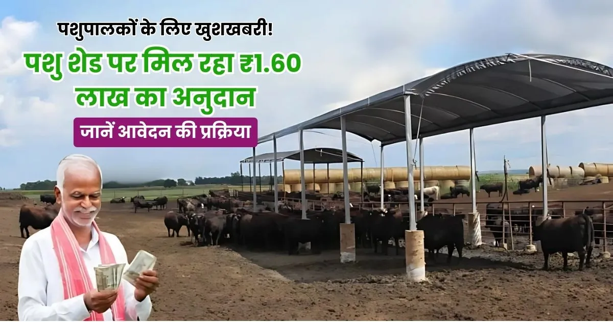 MNREGA Pashu Shed Yojana
