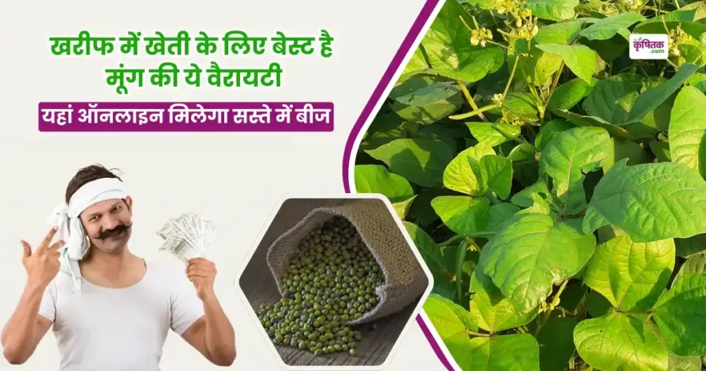 खरीफ सीजन में जबरदस्त मुनाफा दिलाएगी मूंग की ये खास वैरायटी, जानिए कहां से खरीदें सस्ते और अच्छे बीज ऑनलाइन