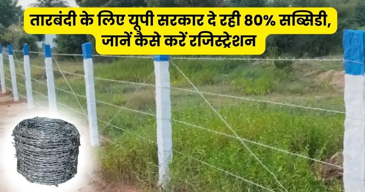UP Tarbandi Yojana 2025