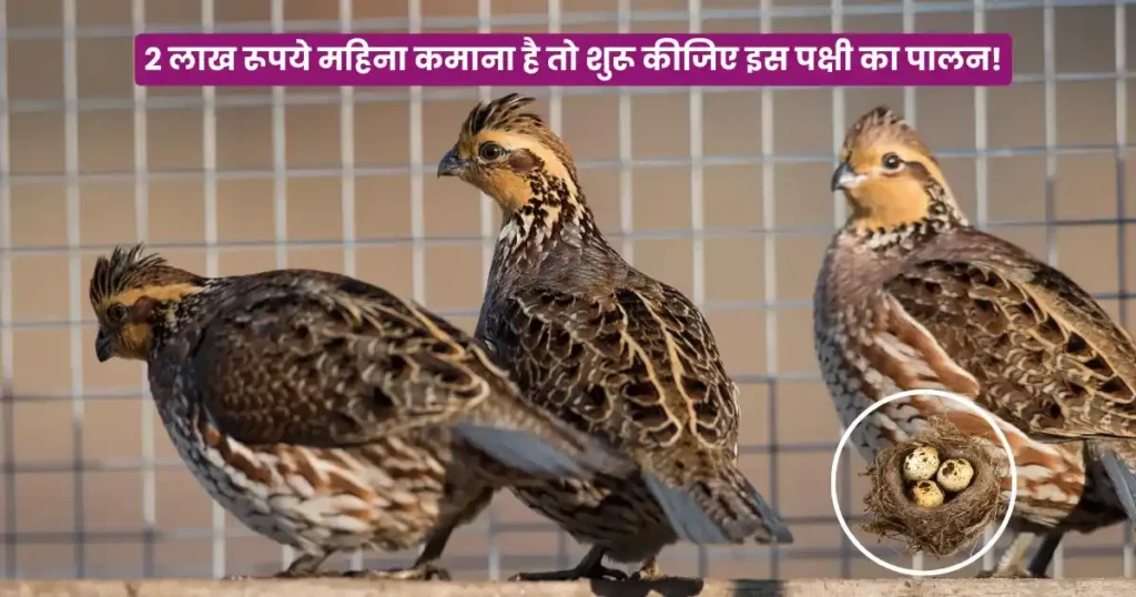 Titar Farming