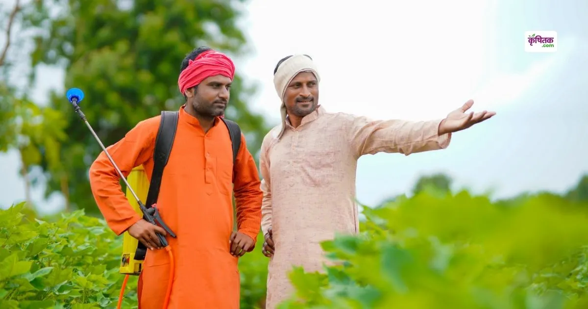 two brothers of haryana earns rs 4 lakh annually by lemongrass cultivation