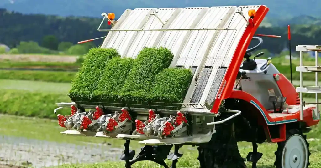 Walking Rice Transplanter