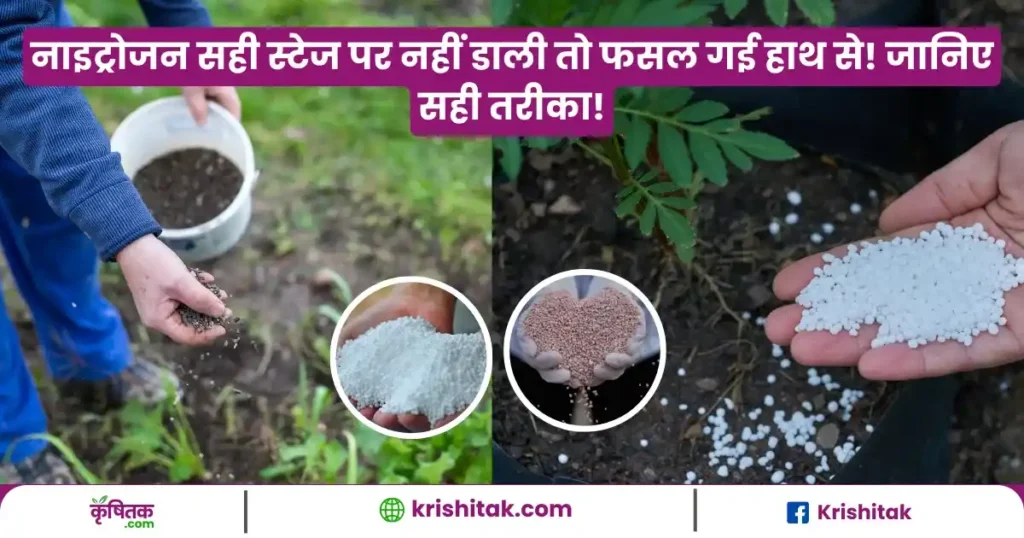 sabjiyon me nitrogen kab dale