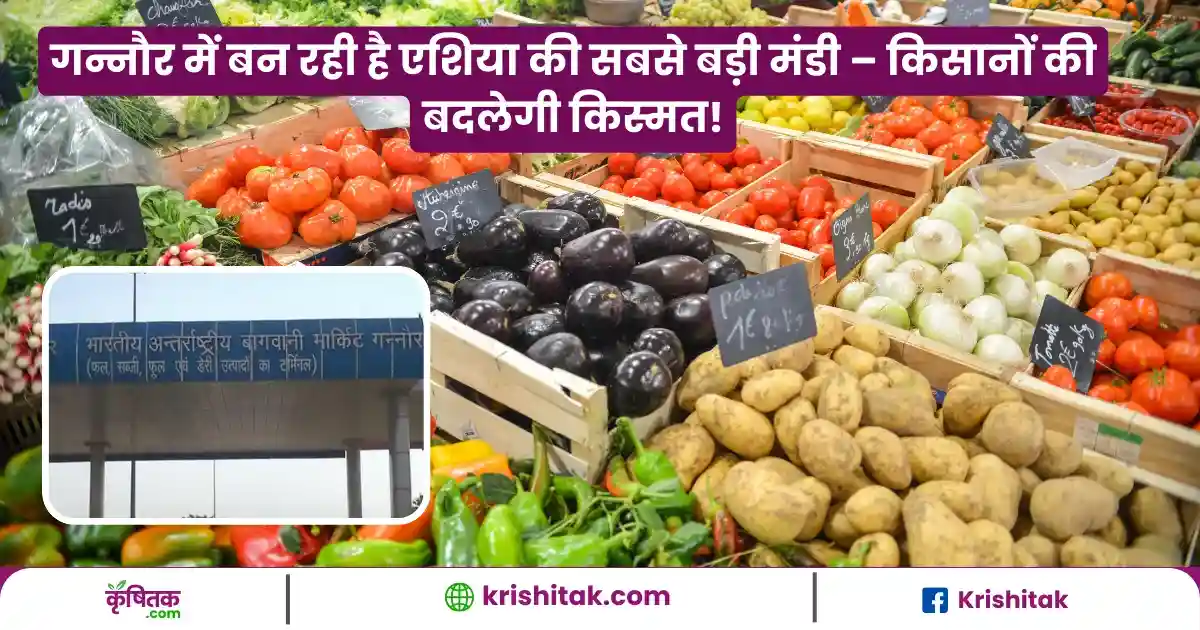 Asia Ki Sabse Badi Phal Sabji Mandi: