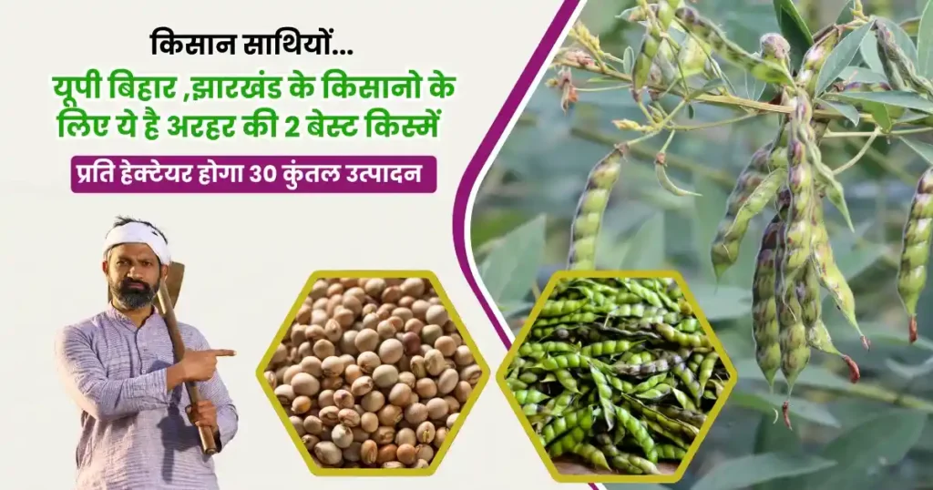 Pusa 992 Bahar Arahar ki Kismen